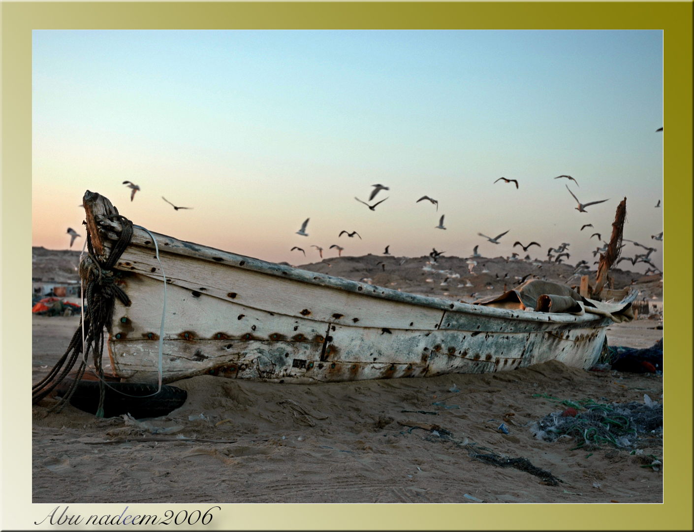 صور من ابداع اعضاء عمان فوتو