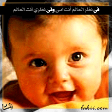 b19m8_4BMaOQR