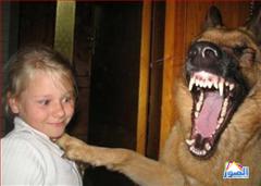 thumb_funny-animals-8213200814609_1_