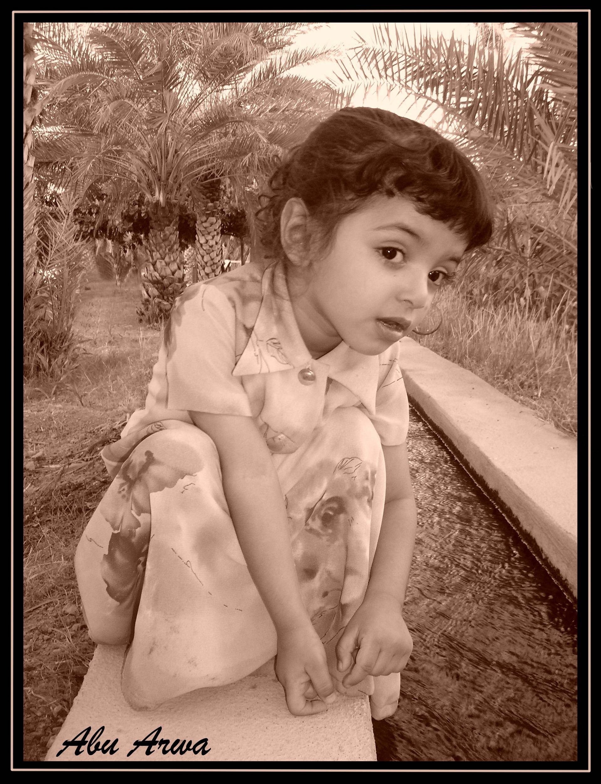 صور من ابداع اعضاء عمان فوتو