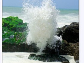صور من ابداع اعضاء عمان فوتو
