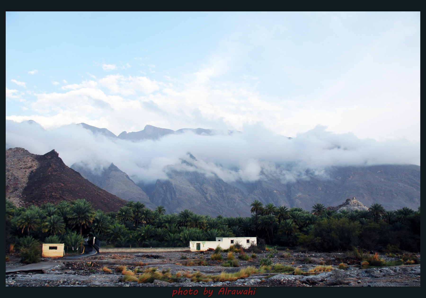 صور من ابداع اعضاء عمان فوتو