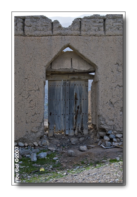 صور من ابداع اعضاء عمان فوتو