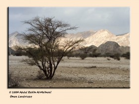 صور من ابداع اعضاء عمان فوتو