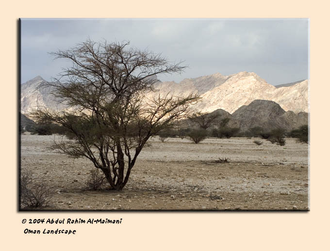 صور من ابداع اعضاء عمان فوتو
