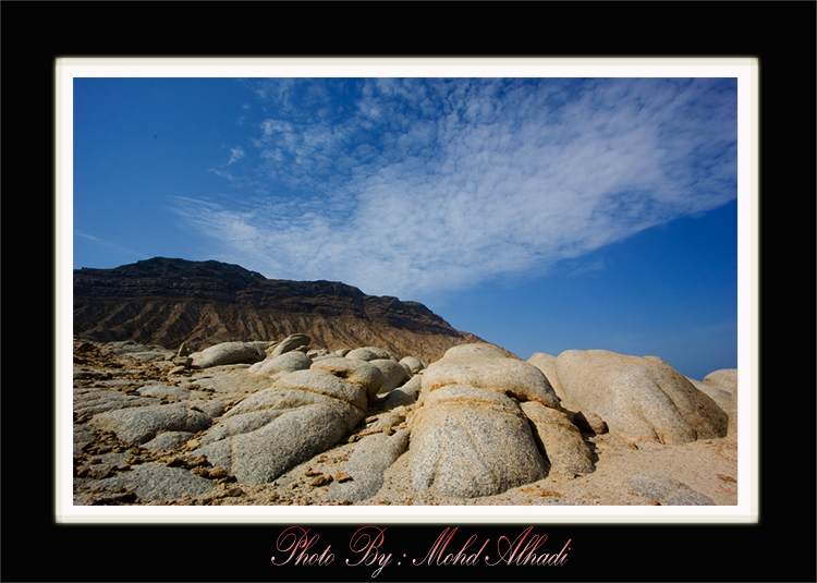 صور من ابداع اعضاء عمان فوتو