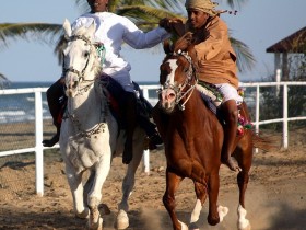 صور من ابداع اعضاء عمان فوتو