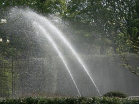 صور منوعة من الإنترنت