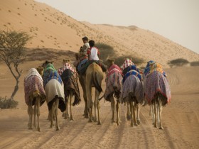 صور من ابداع اعضاء عمان فوتو