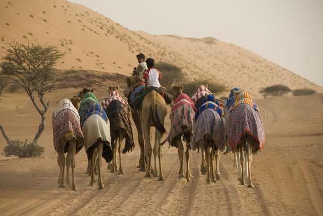 صور من ابداع اعضاء عمان فوتو