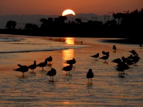 صور من ابداع اعضاء عمان فوتو