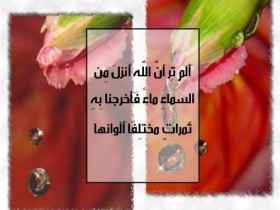 عبارات اسلامية