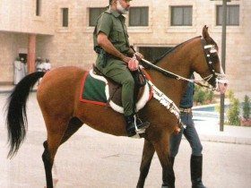 119_113627_1164412144