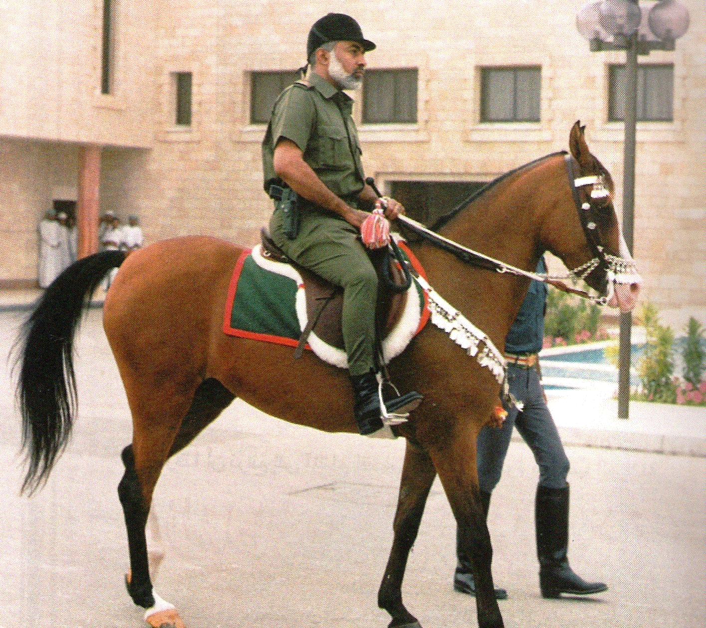 119_113627_1164412144