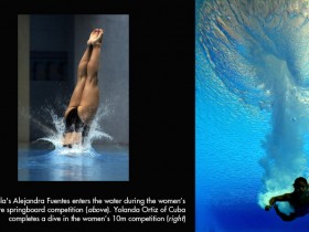 صور من العالم