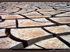 صور من ابداع اعضاء عمان فوتو