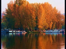 صور منوعة من الإنترنت
