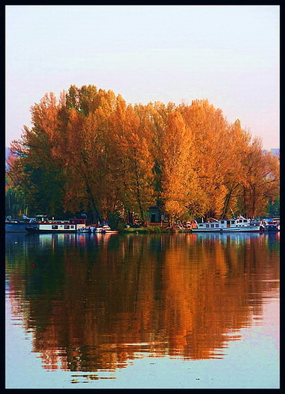 صور منوعة من الإنترنت