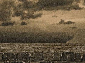 صور منوعة من الإنترنت