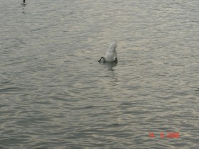 زيارة لطبيعة سويسرا زيورخ