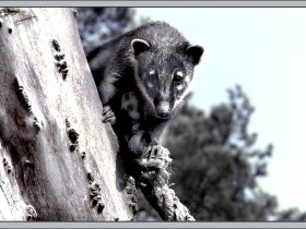 صور من ابداع اعضاء عمان فوتو