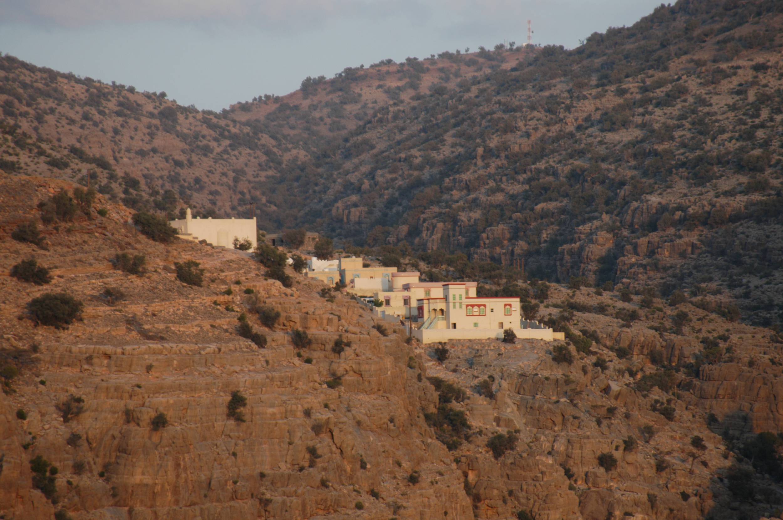 صور من ابداع اعضاء عمان فوتو