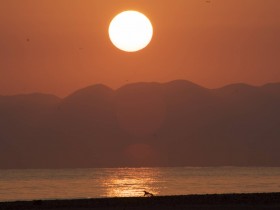 صور من ابداع اعضاء عمان فوتو