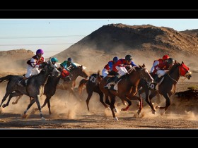 صور من ابداع اعضاء عمان فوتو