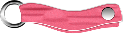 BVS_naturepower_buckle03