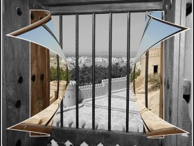 صور من ابداع اعضاء عمان فوتو