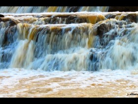 صور من ابداع اعضاء عمان فوتو