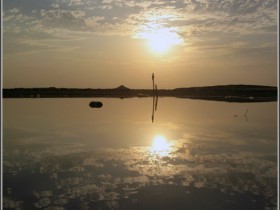 صور من ابداع اعضاء عمان فوتو