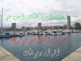 بالطول بالعرض