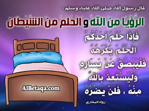 529783_10151285054650493_761524989_n