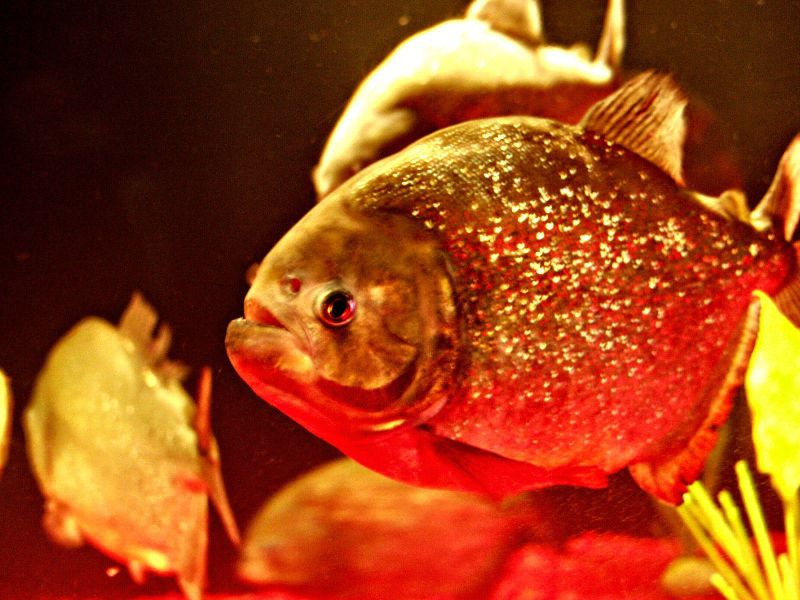 1549828-73f376217c7bfa10_1_