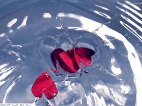 nice_pic_design_photo_44_1_