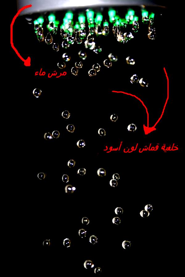 صور من ابداع اعضاء عمان فوتو