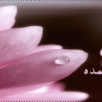 سبحان الله