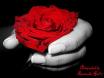 th %20(22)[1]