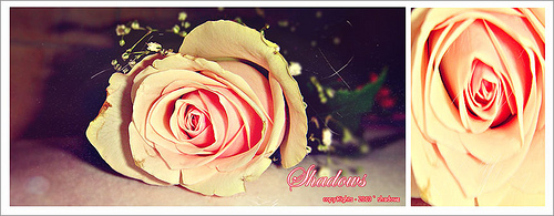 04793aa0fe
