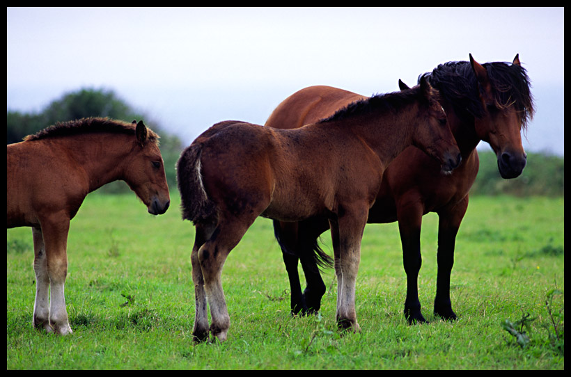 1590344-6b5737938f0a7edc_1_