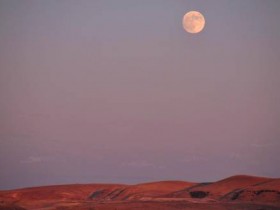 صور منوعة من الإنترنت