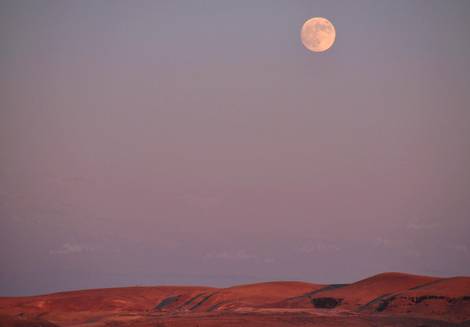 صور منوعة من الإنترنت