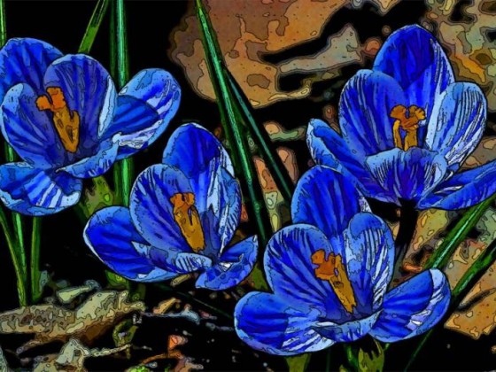 رسم الزهور