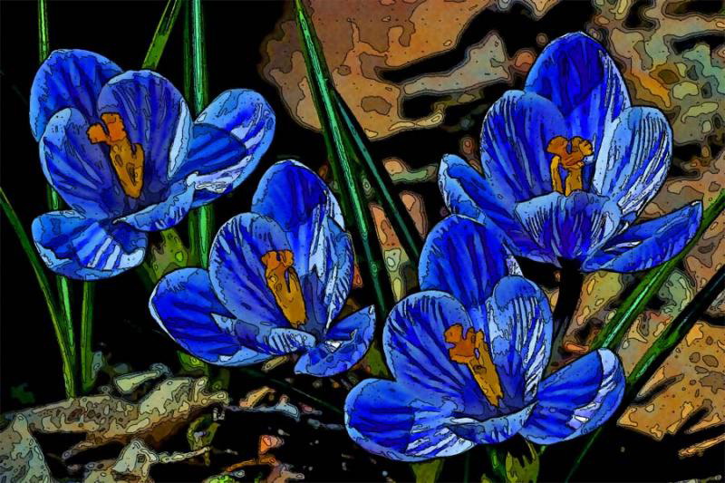 رسم الزهور