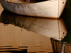 nice_pic_design_photo_1_1_