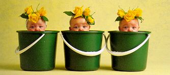 Baby-061