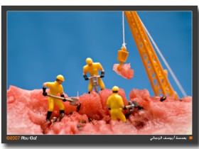 صور من ابداع اعضاء عمان فوتو