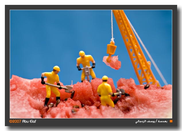 صور من ابداع اعضاء عمان فوتو