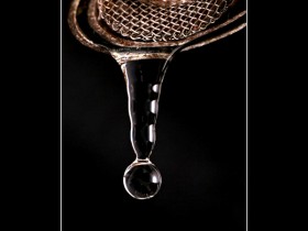 1576386-87d07949764fc153_1_